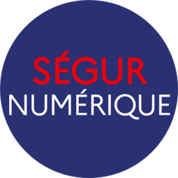 Ségur numérique